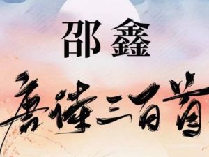 邵鑫唐诗三百首40讲完结网课视频