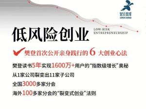 樊登《低风险创业执行手册》规避创业风险，打造稳定现金流