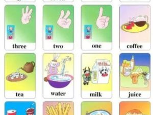 宝宝玩英语魔词卡共159个