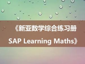 《新亚数学综合练习册SAP Learning Maths》