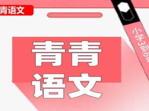 青青语文小学六年级100篇阅读理解阅读打卡(视频+PDF文档）