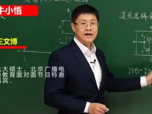 2024牛小悟王文博物理网课视频