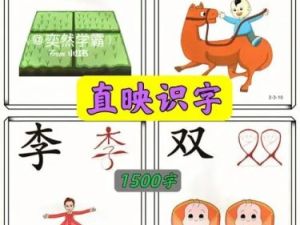 《直映认字》幼儿识字软件1-6册全套