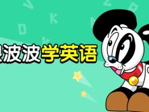 波波英语合集网课视频