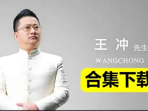 王冲视频课程全套合集下载