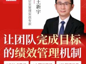 王新宇《让团队完成目标的绩效管理机制》