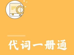 英语形容词、副词、连词、动词、名词、冠词、代词一册通