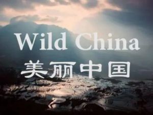《美丽中国》60集中国地理双语纪录片央视+BBC联合出品！