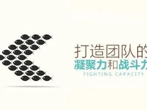 【团队领导】如何打造团队凝聚力与战斗力