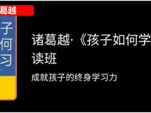 诸葛越《孩子如何学习》精读班