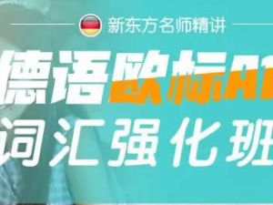 德语学习词汇强化全程班（A1-B2） 网课视频