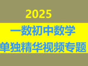 一数初中数学单独精华视频专题