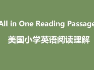 《All in One Reading Passages》美国小学英语阅读理解自然拼读与阅读理解相结合6套