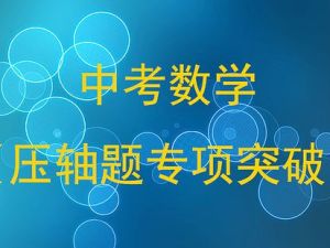 2024中考数学核心考点专题突破（原卷+解析）电子版