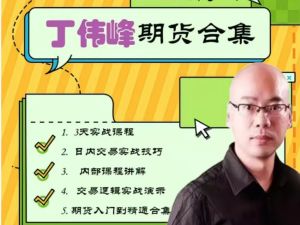 丁伟锋期货内部培训课程全套下载