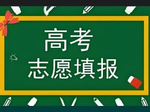 2025高考志愿填报课合集视频讲解