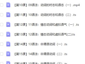 高考英语名师复习课程