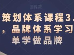 《品牌策划体系课程3.0升级版》品牌体系学习