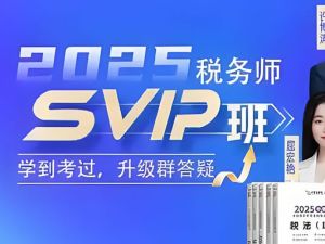 2025年税务师VIP全程班全套视频课