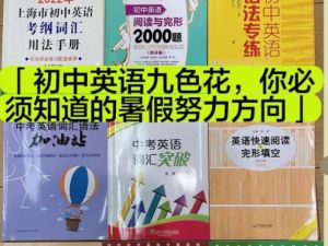 初中英语九色花系列|Nancy 中考英语词汇语法加油站小紫PDF+视频