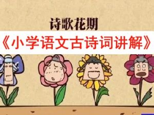 乐乐课堂小学语文古诗词讲解视频《乐乐课堂天天练语文》共386集