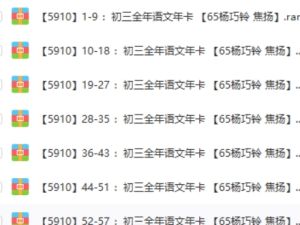 学而思-杨巧铃 焦扬初三全年语文年卡网课视频