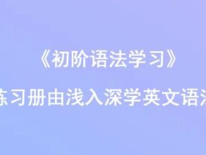 《初阶语法学习》练习册由浅入深学英文语法