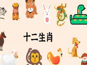 《十二生肖》全40集民俗神话动画片