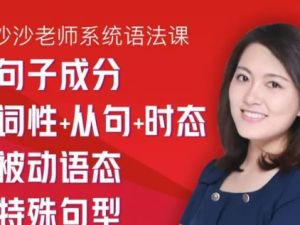 清华高圆圆sasa沙沙老师系统语法课【完结】