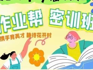 2022作业帮初三中考化学密训班（多位老师合讲） 网课视频