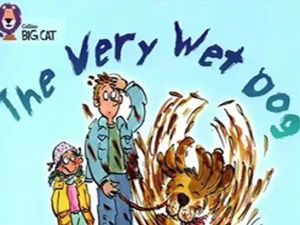 英文进阶分级阅读《柯林斯大猫 Big Cat 》1-11级绘本+音频