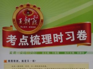 2024春王朝霞考点梳理时习卷（1-6下人教数学）