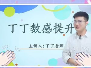 丁丁老师：小学3-6年级数学思维提升课（视频课程+附题库及讲义)