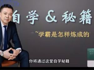 2025大脸陈学霸自学秘籍 教会孩子学习规划 解决父母焦虑 只教真东西 网课视频