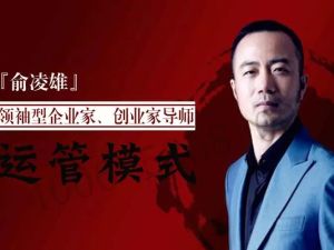 俞凌雄《运管模式》企业管理模式培训视频，揭密总裁实战管理
