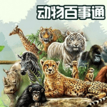 《动物百事通》BBC自然探索节目英文版第二季全26集1080p超清下载 mp4英语中字