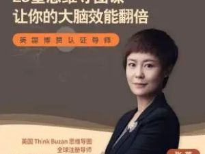 【张蕾】23堂思维导图课让你的大脑效能翻倍（视频）