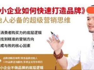 妙心《中小企业如何快速打造品牌》的超级营销思维