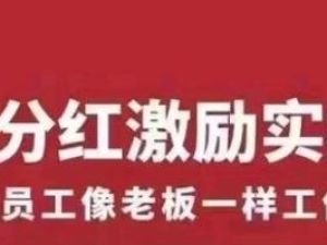 聂利利《团队分红激励实操课》让员工像老板一样努力工作