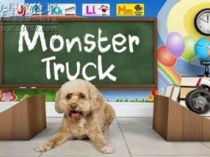 加拿大Brain Candy TV 学习字母+科学+官网合集版 共13集