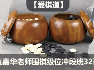 【爱棋道】袁嘉华老师围棋级位冲段班32课时