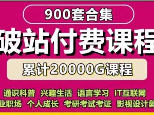 2025年B站付费课程合集共262套网盘下载
