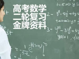 2024年高中高考数学二轮复习金牌资料