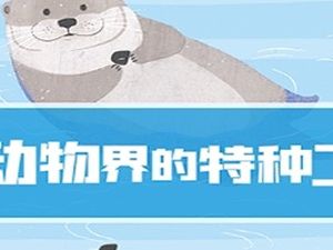 凯叔讲故事《动物界的特种工》20集完整版