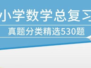 《小学数学总复习真题分类精选530题》系统复习,毕业检测,学业测试