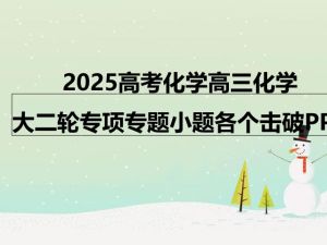 2025高考化学高三化学大二轮专项专题小题各个击破PPT
