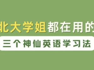 北大英语娘娘语法+核心词汇暴涨计划+英语大招+北大才女1600词汇网课视频