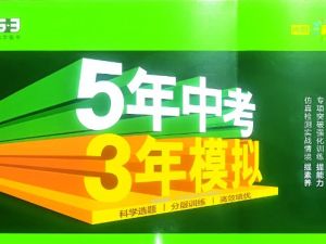 25秋|2026《53系列小学、初中、高中电子版合集》（53同步试卷+53完型填空+53全优卷+53中考总复习等等）下载