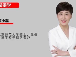 2024希望董小磊初二数学目标S班全国版网课视频