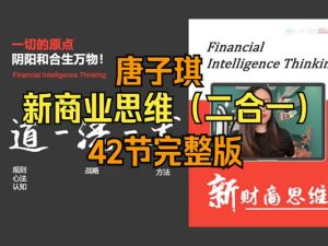 唐博士唐子棋新商业思维视频二合一大课